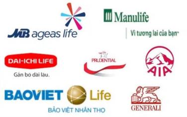 Danh sách các công ty bảo hiểm lớn nhất Việt Nam