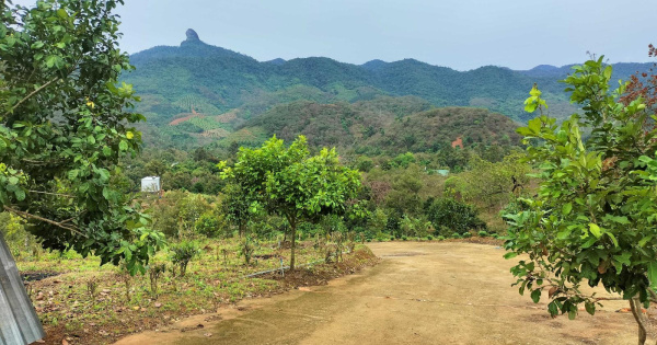 Cần tiền bán đất nghỉ dưỡng và vườn trái cây Nguyễn Bỉnh Khiêm, Đạ M'ri. Đạ Huoai Lâm Đồng giá rẻ