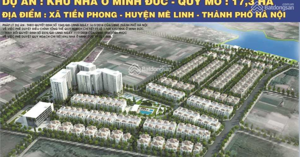 Cần bán gấp biệt thự đơn lập Vista Mê Linh - Minh Đức, DT 262m2 giá 24tr/m2 (đất)