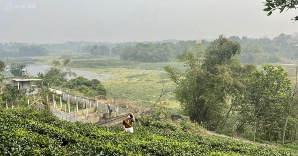 Chính chủ cần chuyển nhượng lại lô đất view hồ cao ráo tuyệt đẹp tại hồ Cẩm Quỳ Ba Vì Lh 0384099950