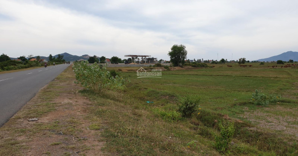 Bán đất mặt tiền đường lớn, gần biển thuộc Nam Vân Phong, Ninh Hòa. LH: 0912121710Thắng)