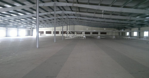 Cần cho thuê xưởng đẹp diện tích 2000m2, 3500m2, 4200m2 đến 10000m2 tại Hải Phòng