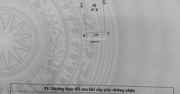 Bán nhà kinh doanh đỉnh Phố 8.3, Hai Bà Trưng 48m2, 2 tầng, MT 4m, giá 8.9 tỷ