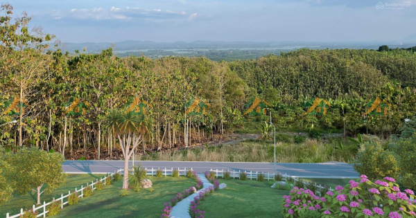 Cần bán farmstay view 360 độ view đẹp hướng sông, mặt tiền 20m, ngay QL20, SHR,có sẵn vườn,view độc