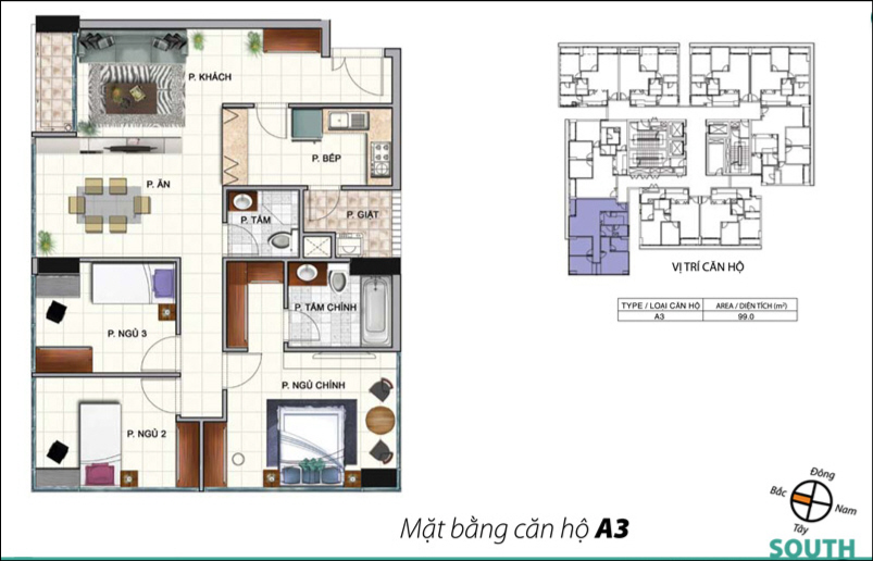 Thiết kế, mẫu nhà của South Building | ảnh 3