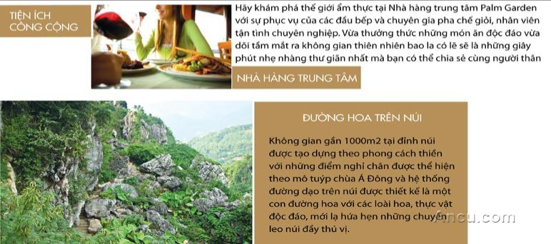 Hạ tầng, quy hoạch của The First Villa &amp; Resort | ảnh 4